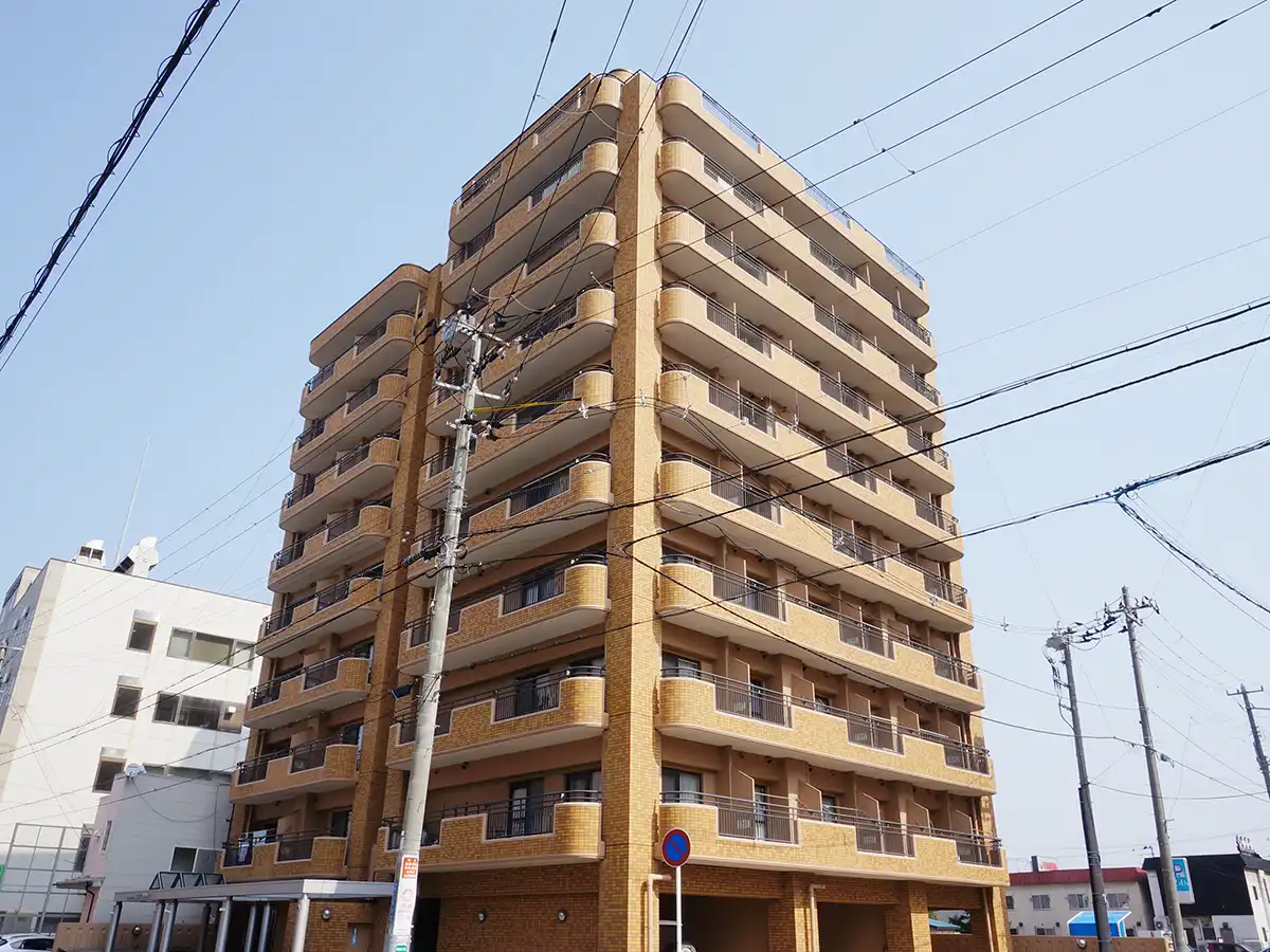 エリアワン青森の写真