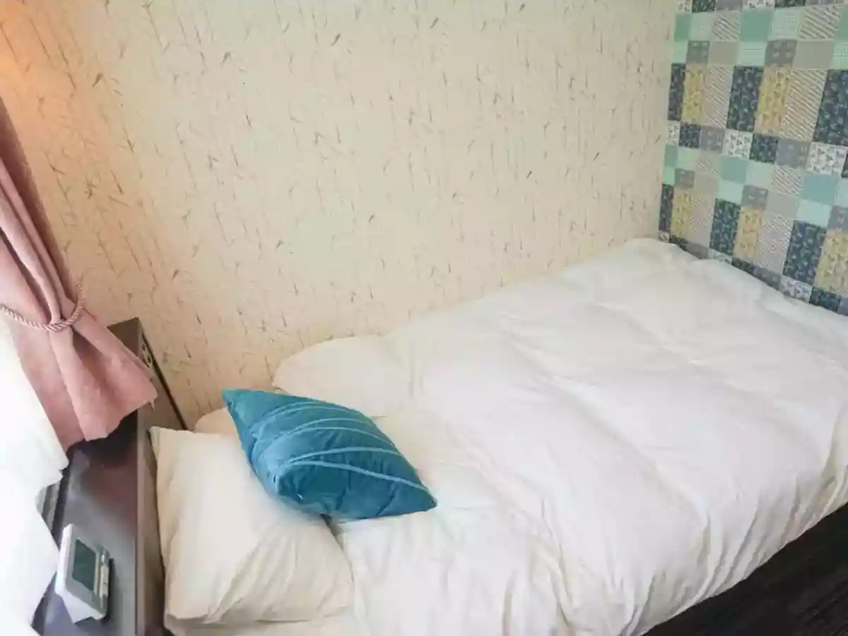 小さなホテルSHIMOKOSHIKI＜甑島・下甑島＞（シングル）(夕食/有料プランあり)　の写真